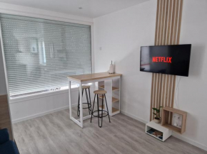 Beau studio 24m2 près de Airbus